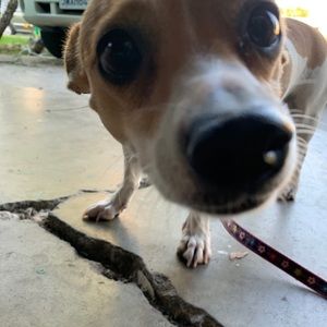 Meet your Posher, May